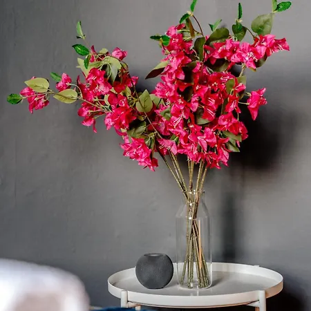 Georgian Flat - Perfect Festival Base! Apartment