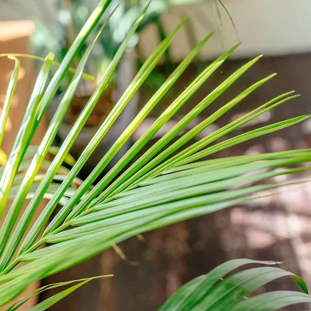 Apartment Georgian Flat - Perfect Festival Base!