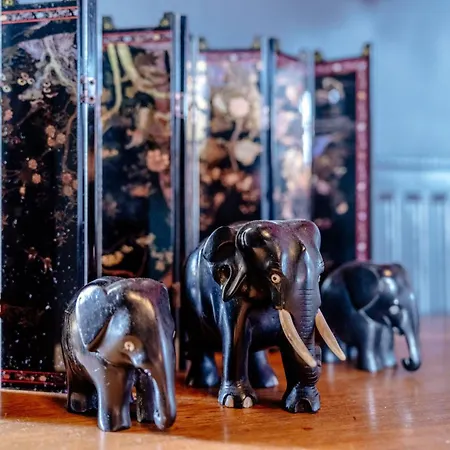 Apartment Georgian Flat - Perfect Festival Base! Edinburgh