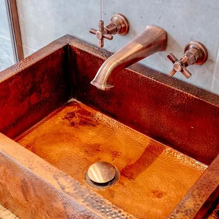 Craig S Lair Boho Jungle