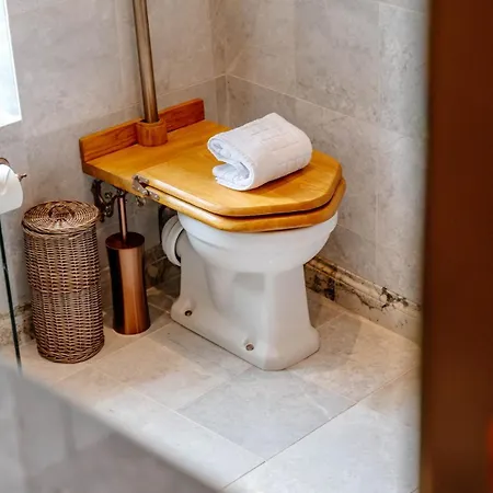 Craig S Lair Boho Jungle