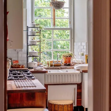 Craig S Lair Boho Jungle Apartmán