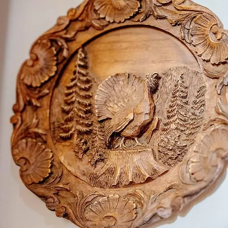 Craig S Lair Boho Jungle *