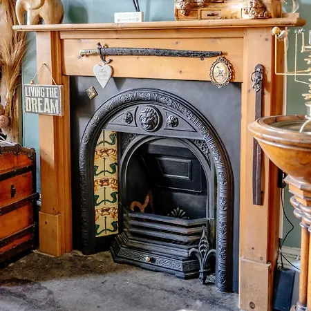 Craig S Lair Boho Jungle