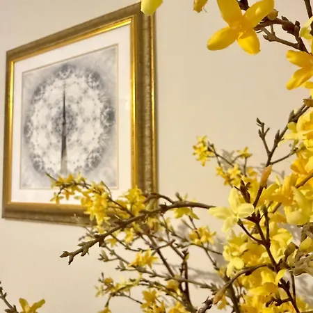 بيت ضيافة Scot Townhouse