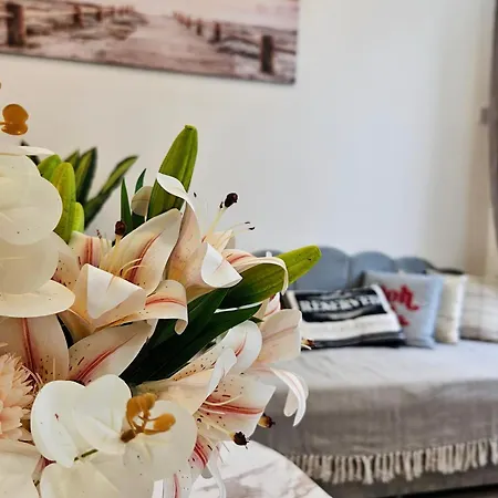 Urban Oasis Apartmán