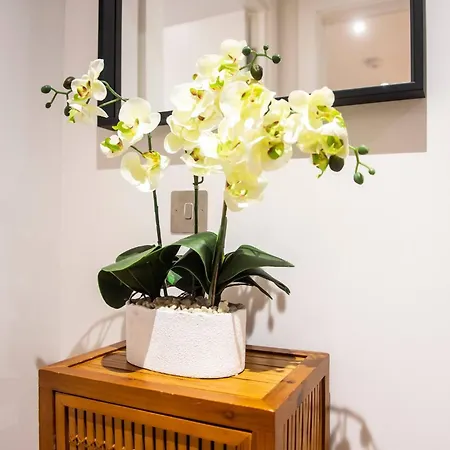 Lovely 1-bedroom Unit Near Castle 爱丁堡