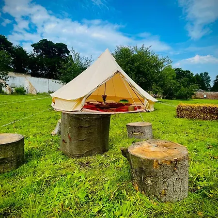 Festival Glamping By Social エディンバラ