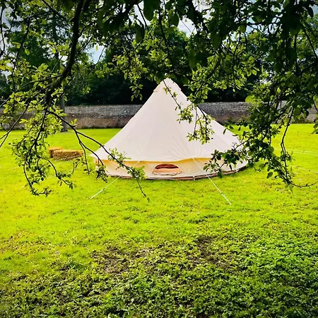 Festival Glamping By Social キャンプ場 *