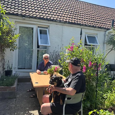 Charming 3 Bed , Private Budget , Free Street Parking , Fibre Optic Internet , Garden *