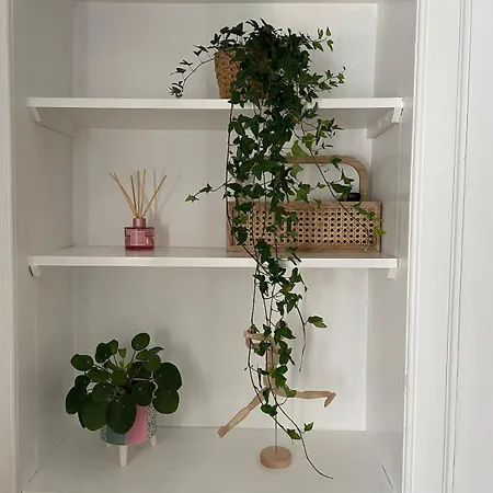 Quiet Garden View 2br Center Near Fringe Апартаменты Эдинбург