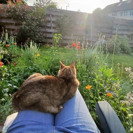 Botanical Hideaway-Room In Shared Home With One Female And A Cat
