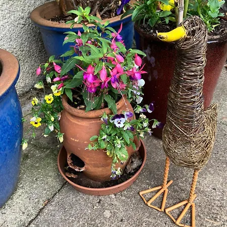 Midkinleith Farm * エディンバラ