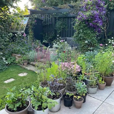 Beautiful Double Homeshare Great Location