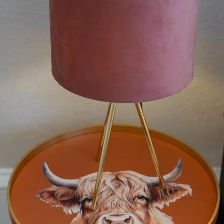 Apartment Historic Townhouse In Centre Edinburgh