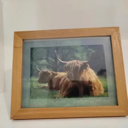 Daire Lovely Flat In Gorgie,