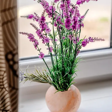 Lejlighed Cosy 1br Sleeps 4 Quiet