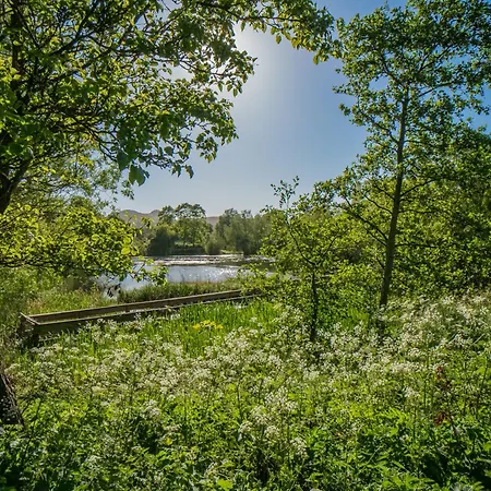 Northfield 1 Bedroom With Sofa Bed -