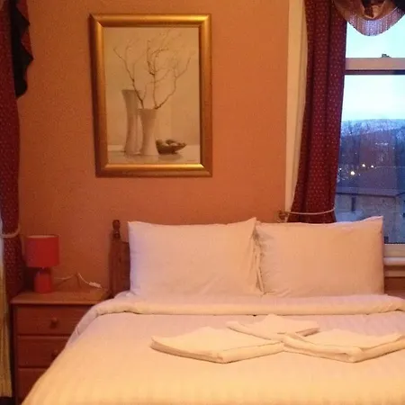Twin Lions Hotel