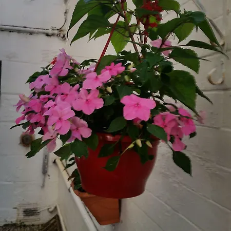 Grosvenor Gardens Edimburgo