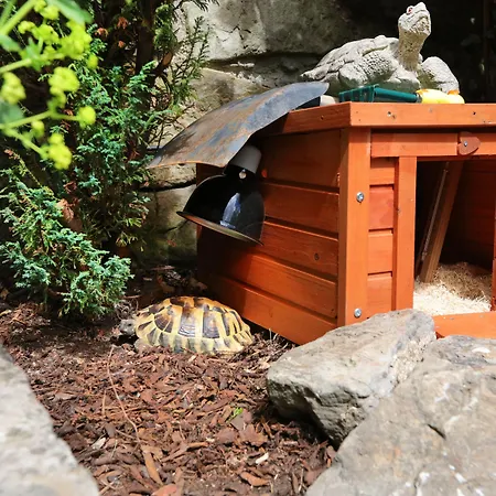 בית הארחה Lauderville אדינבורו