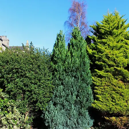 Culane House - Affittacamere Edimburgo