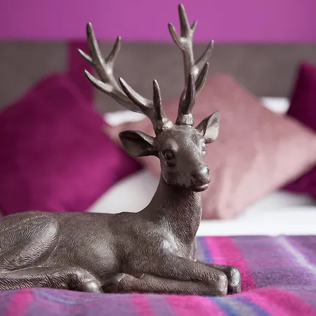 The Spires Serviced *