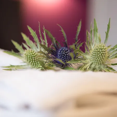 The Spires Serviced Apartament Edynburg