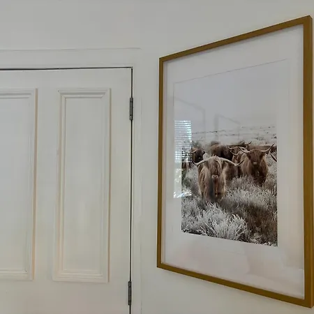 Lägenhet Stylish 1 Bed Centre Edinburg