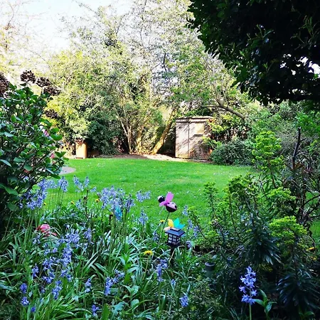 Beautiful Travelers - Salmond Place Apartment *