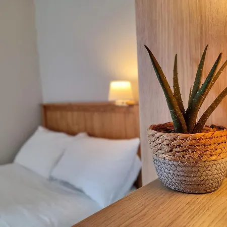 Lovely Festival Flat *