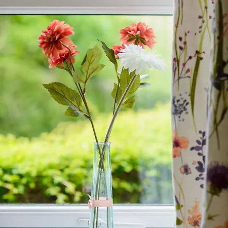 Lovely - Craighouse Gardens