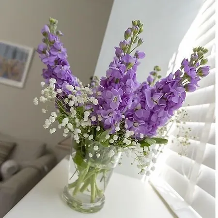 The Lane * エディンバラ