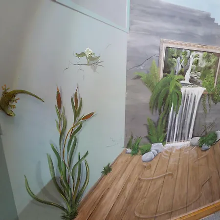 بيت شباب Belford