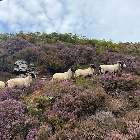 Apartament Royalmileluxe 3bed *