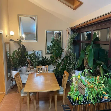 Bright, Spacious House *