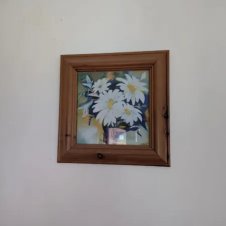 Argyle Backpackers אכסניה אדינבורו