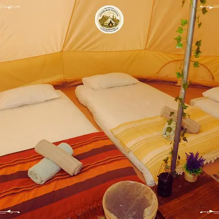 Festival Glamping By Social Camping