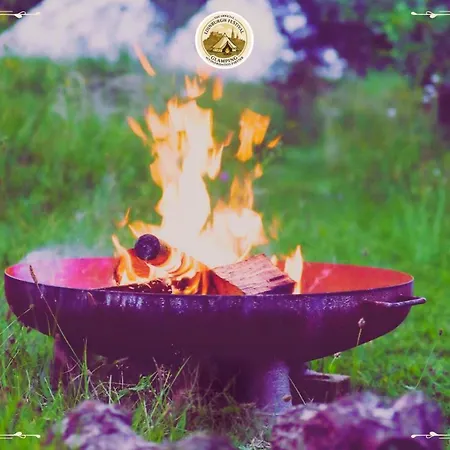 Festival Glamping By Social * Edynburg