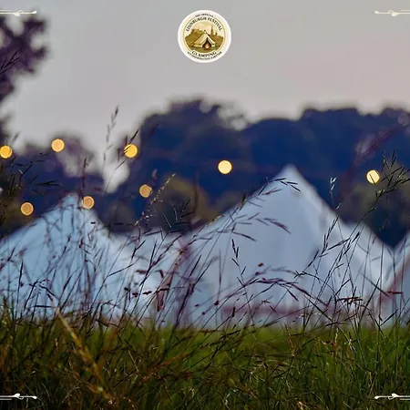 Festival Glamping By Social Κάμπινγκ Εδιμβούργο