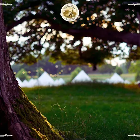 Festival Glamping By Social *