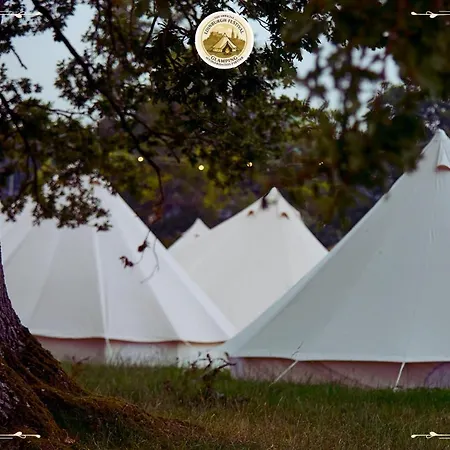 Festival Glamping By Social Edynburg