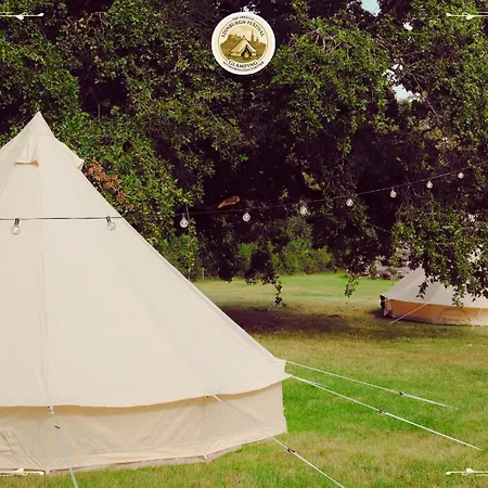 Festival Glamping By Social Εδιμβούργο