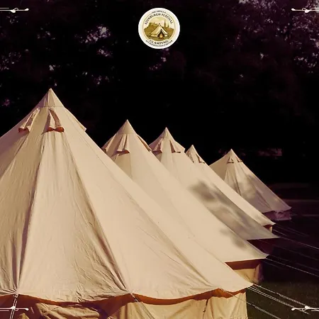 Campsite Festival Glamping By Social