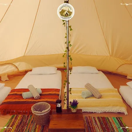 Campsite Festival Glamping By Social *