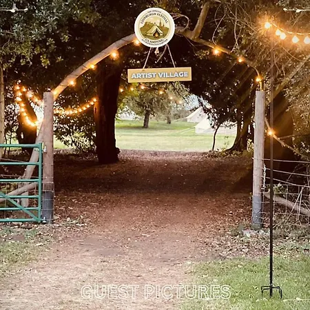 Festival Glamping By Social Campsite *