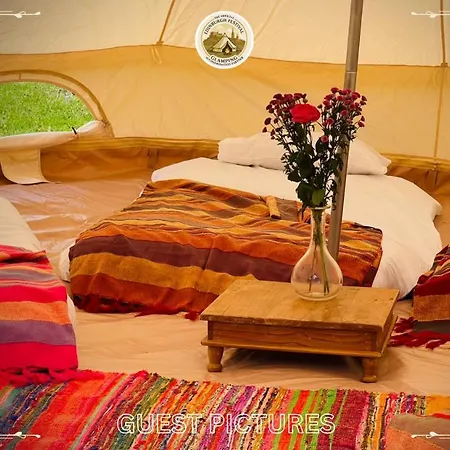 Κάμπινγκ Festival Glamping By Social *