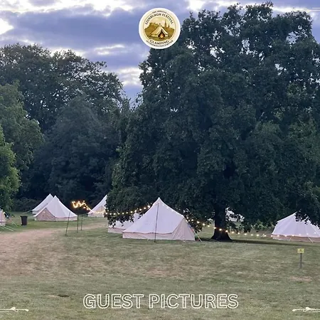 Kemping Festival Glamping By Social *