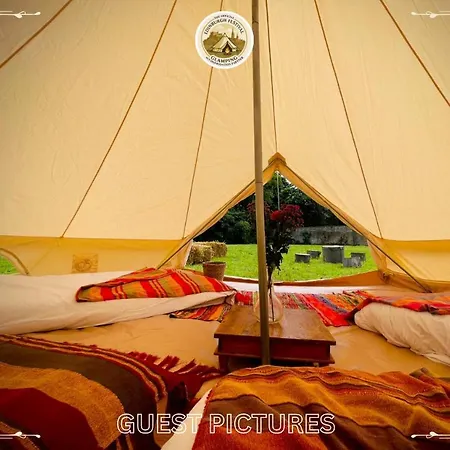 Festival Glamping By Social