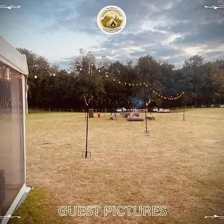 Festival Glamping By Social *